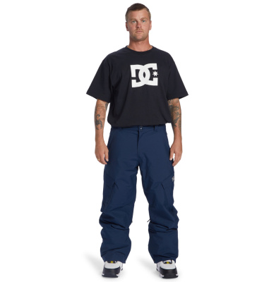Сноубордические штаны DC Shoes BANSHEE SNOW PANT синий от магазина Адреналин
